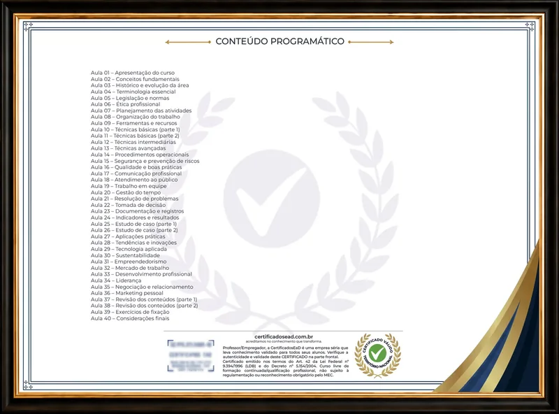 Verso do Certificado Exclusivo com o conteúdo programático