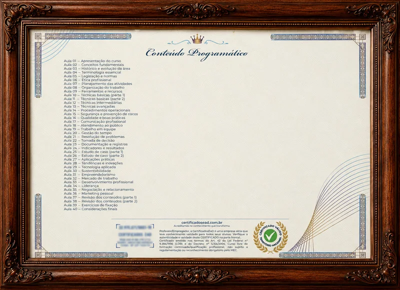 Verso do Certificado Premium com o conteúdo programático