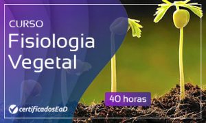 Curso online gratuito de fisiologia vegetal