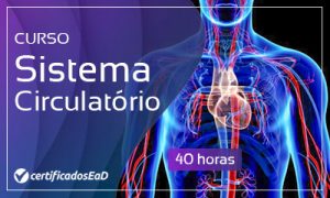 Curso online gratuito de sistema circulatório
