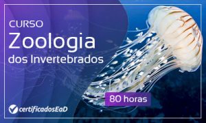 Curso online gratuito de zoologia invertebrados