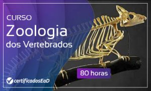 Curso online gratuito de zoologia vertebrados