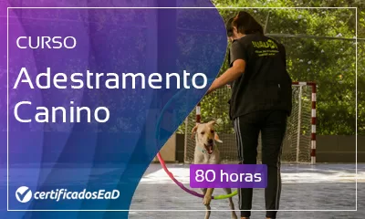 Curso online gratuito de Adestramento canino